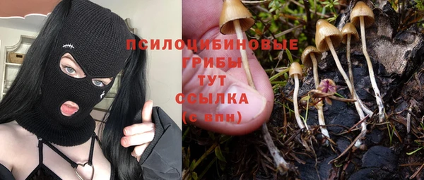 кокс Абдулино